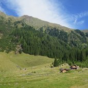 winkler wies alm unterbergtal fr