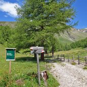 platzalm im biotop huehnerspiel fr