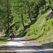 almstrasse zwischen prantneralm und riedbergalm