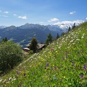 prantneralm oberhalb sterzing