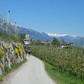 feldweg bei voellan wanderer