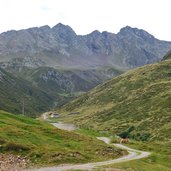 pferde weide unterbergtal