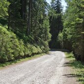 forststrasse schmuders prantneralm