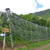 beginn weg a von unterrain nach perdonig und hocheppan