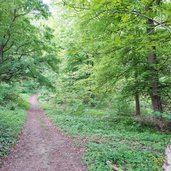 weg a von unterrain nach perdonig