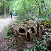 weg a von unterrain nach hocheppan