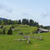 wiesen am weg nach platzers