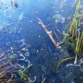 spaetherbst eis am montigglersee