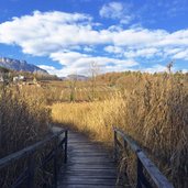 montiggl montigglersee herbst