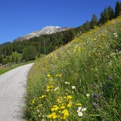 weg nr telfer almenweg