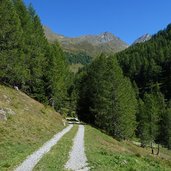 weg nr bei foessalm hinterpasseier