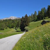 weg nr telfer almenweg