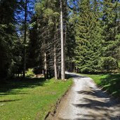 weg nr telfer almenweg