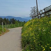 weg nr bei naraun tisens