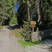 weg nr telfer almenweg abzweigung