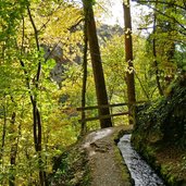 herbstwald am weg ilswaal