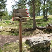 forstweg zum moeltner kaser bei moeltener joch wegweiser