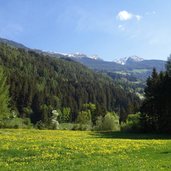 taufers wiesen am eingang ins reintal