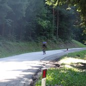 strasse von buchholz nach gfrill radfahrer