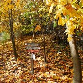 wegweiser kortsch st aegidius herbstwald