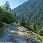 wanderweg forststrasse nach sulden