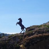 neuer haflinger erlebnisweg buergeleweg pferd shilouette