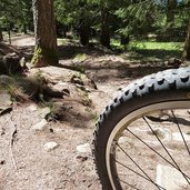 weg moeltner kaser nach scheermoos mtb schwere abfahrt