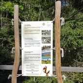 neuer haflinger erlebnisweg buergeleweg infotafel