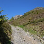 weg von telfer kuhalm richtung ochsenalm