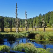 weissensee im naturpark trudner horn