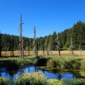 weissensee im naturpark trudner horn