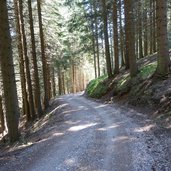 weg von trudner horn nach truden