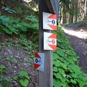 mtb strecken wegweiser weg von trudner horn nach truden