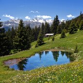 weiher bei freundalm