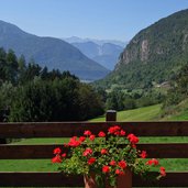 aussicht von truden richtung westen geranien