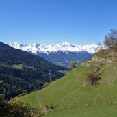 vinschger hoehenweg bei matsch blick richtung ortler