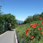 radweg eppan bei frangart