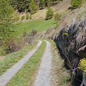 vinschger hoehenweg bei matsch richtung muntetschinig