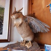 wolpertinger