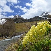 fruehling am rojer bach