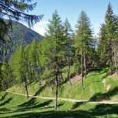 wanderweg nr von planeil zur planeiler alm