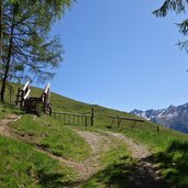 wanderweg nr von planeil zur planeiler alm