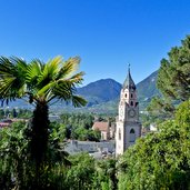 meran pfarrkirche palme