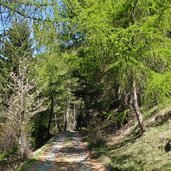 vinschger hoehenweg bei munteschinig