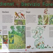 muntetschinig bei mals infotafel hecken fauna und flora