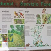 muntetschinig bei mals infotafel hecken fauna und flora