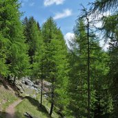 weg nr marteller hoehenweg