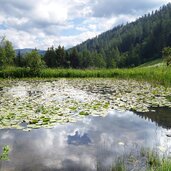 teich bei rungganoe truden