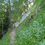 weg a valgenaeun nach niederflans