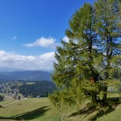 karerpass herbstlandschaft